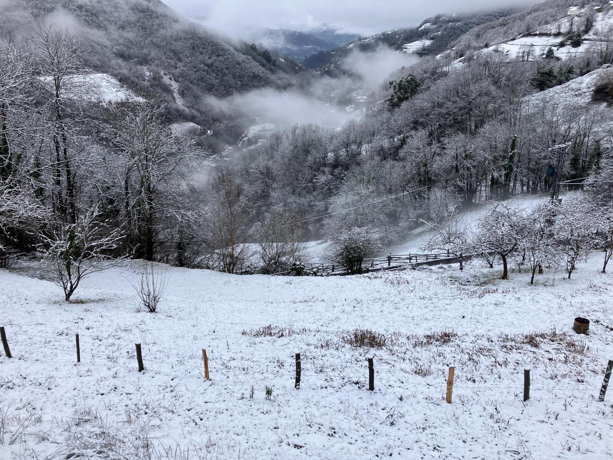 Armiello La So Casa -En El Corazon De Asturiasヴィラ エクステリア 写真